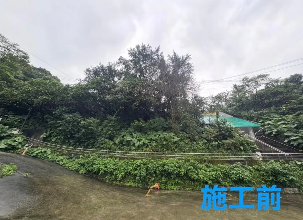 基隆銘傳國中鋸樹施工前坡地樹木與藤蔓茂密情形