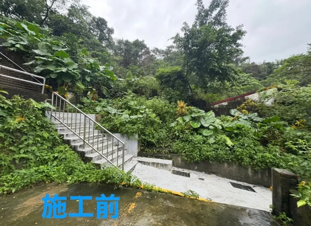 銘傳國中鋸樹工程施工前階梯周圍植被茂盛狀況