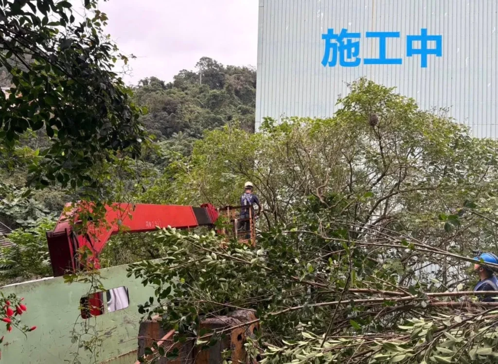 銘傳國中鋸樹施工中吊臂伸入大量已鋸切枝條區域
