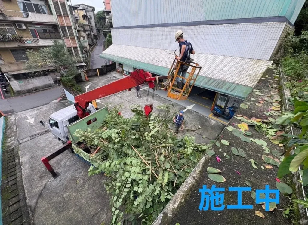 銘傳國中鋸樹施工中以吊臂搬運集中後的枝幹
