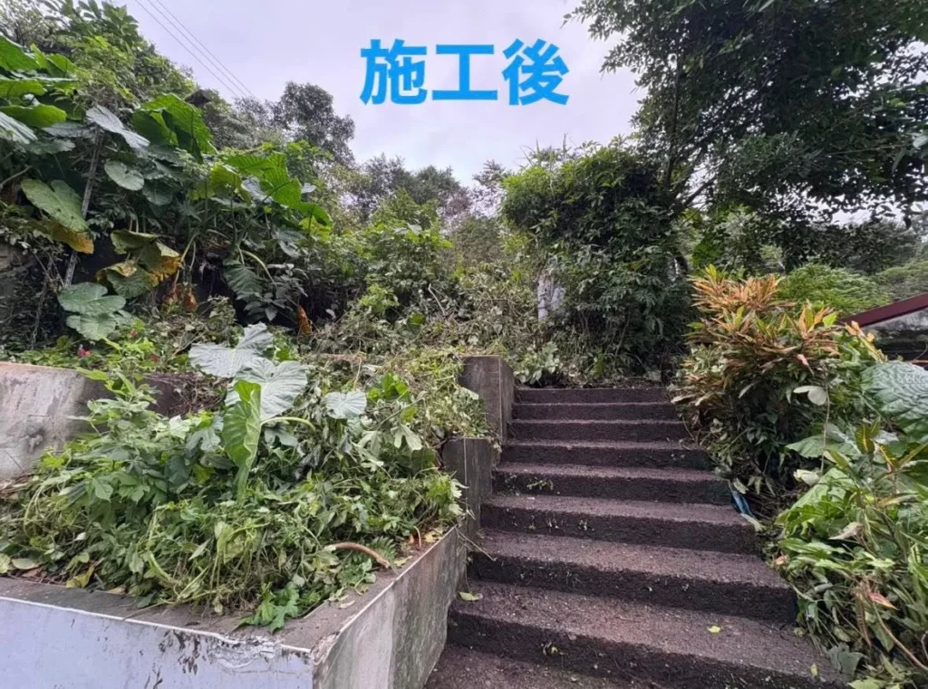 銘傳國中完工後階梯周邊枝葉完成修整與集中清理