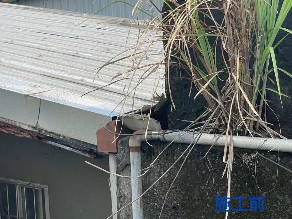 基隆新西街鐵皮屋施工前,屋頂邊緣植生與排水管周邊現況