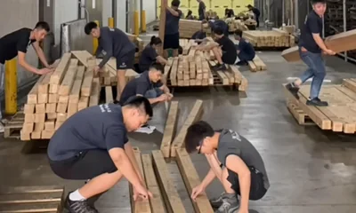多名物流人員在倉庫分類並定位木板貨物