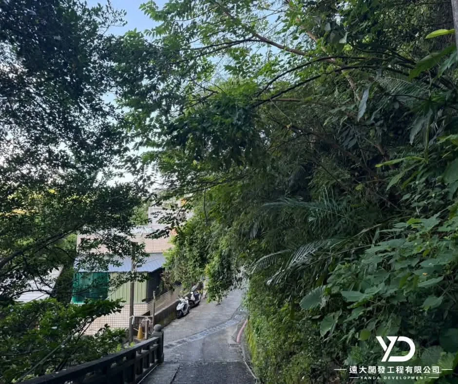 基隆市南榮路實明寺鋸樹施工前,茂密枝葉延伸至道路與建物上方