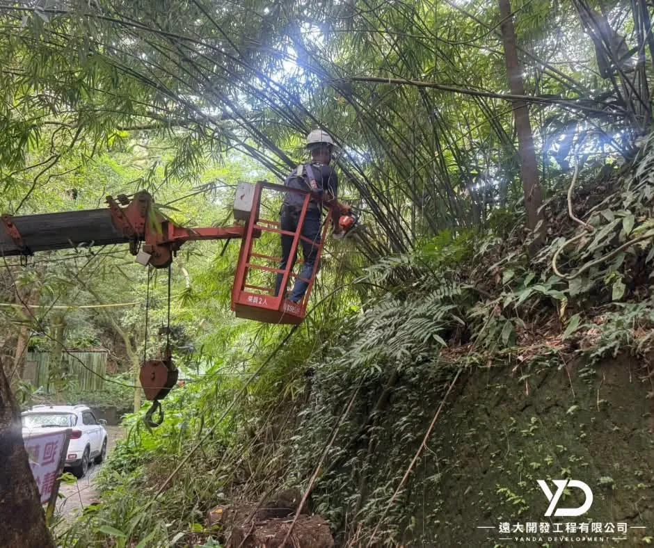 基隆市南榮路實明寺鋸樹施工中,高空作業吊籃伸向邊坡樹木