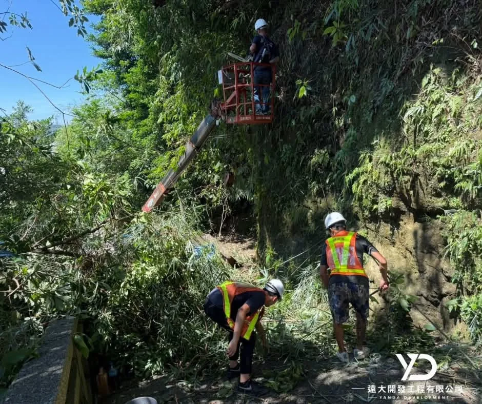 基隆市南榮路實明寺鋸樹施工中,地面人員分工整理大量枝葉