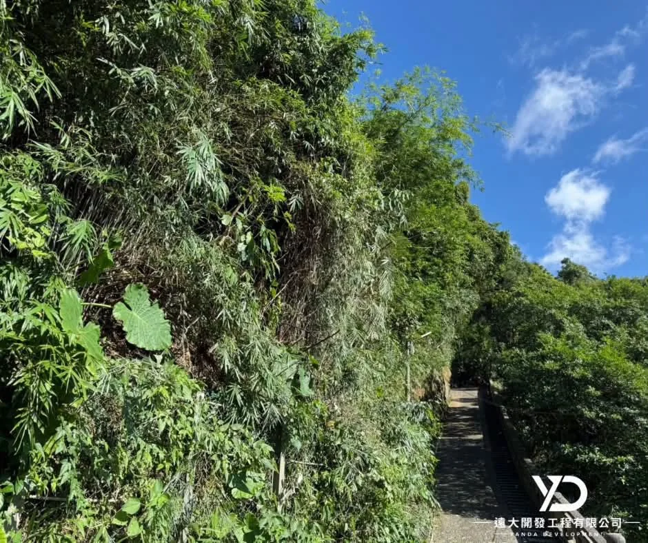 基隆市南榮路實明寺鋸樹完工後,邊坡植被整理後的步道入口