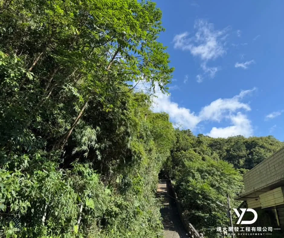基隆市南榮路實明寺鋸樹完工後,步道上方視野與通行空間改善